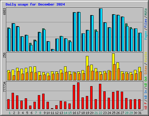 Daily usage for December 2024