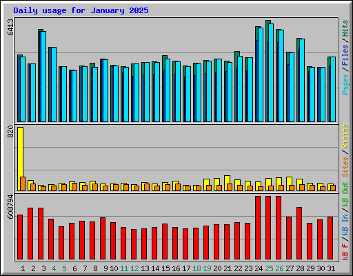 Daily usage for January 2025