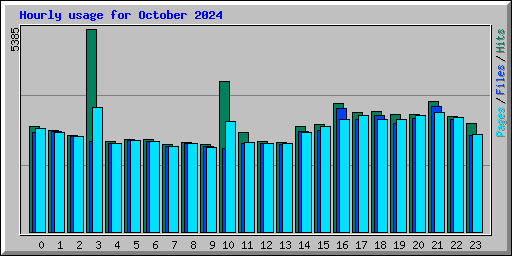 Hourly usage for October 2024