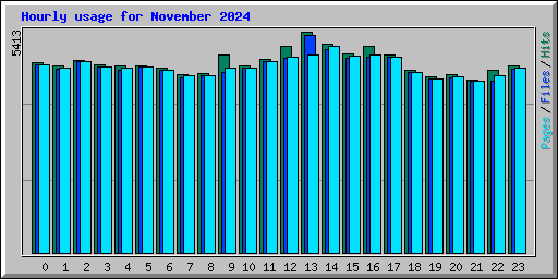 Hourly usage for November 2024