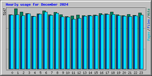 Hourly usage for December 2024