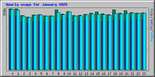 Hourly usage for January 2025