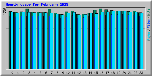 Hourly usage for February 2025
