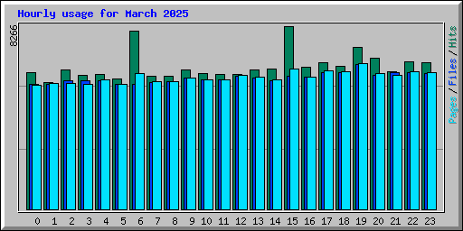 Hourly usage for March 2025