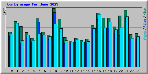 Hourly usage for June 2025