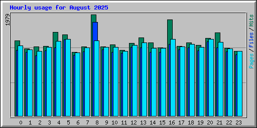 Hourly usage for August 2025